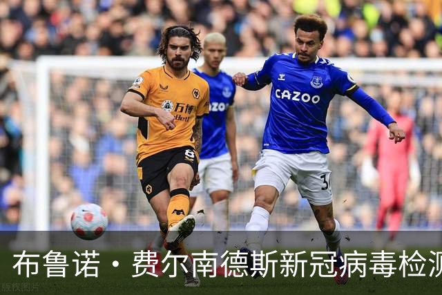 布鲁诺·费尔南德斯新冠病毒检测转阴，复出可能性待定